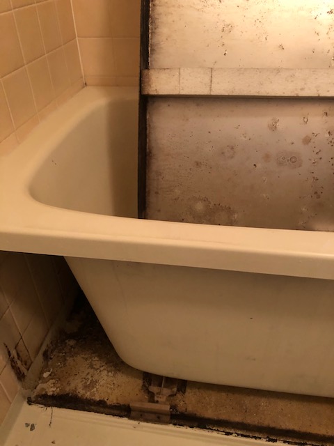 東大阪　浴室浴槽エプロン内クリーニング Before画像