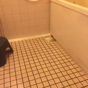 東大阪　浴室クリーニングのサムネイル
