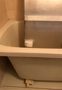 東大阪　浴室浴槽エプロン内クリーニングのサムネイル